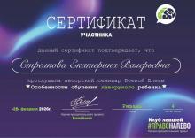 Левша в школе. Особенности обучения